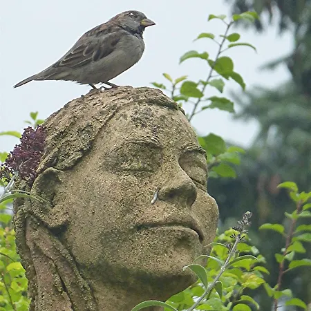 Romantica * Sipplingen