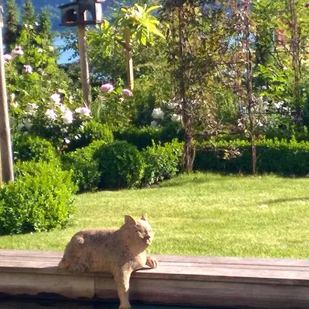 Apartamento Romantica