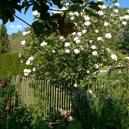 Apartamento Romantica