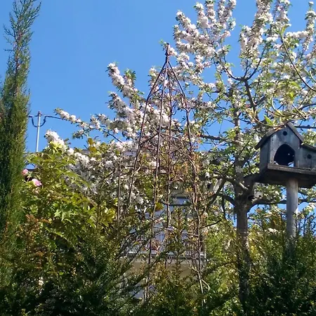 Romantica Apartamento *