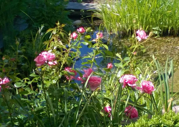 Romantica ジプリンゲン