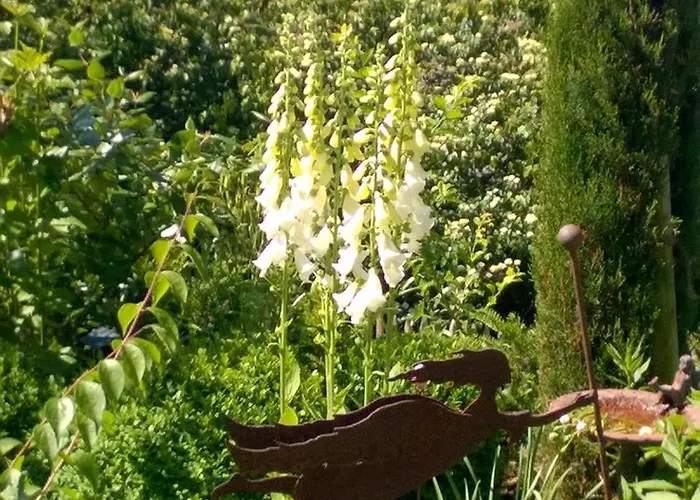 Romantica アパート