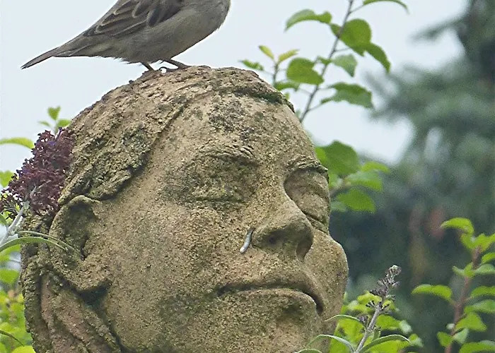 Romantica * ジプリンゲン