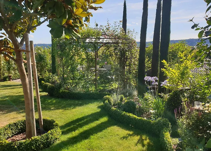 Romantica * ジプリンゲン