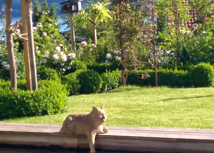 アパート Romantica