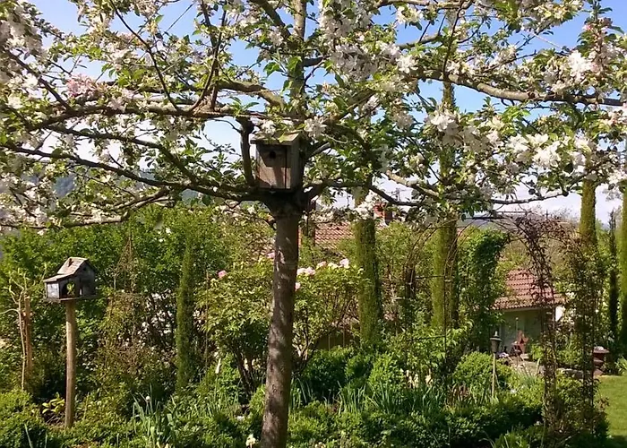 Romantica アパート ジプリンゲン