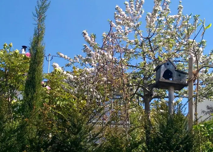 Romantica アパート *